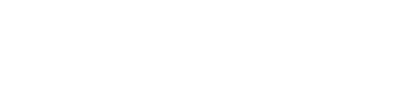big brain holdings
